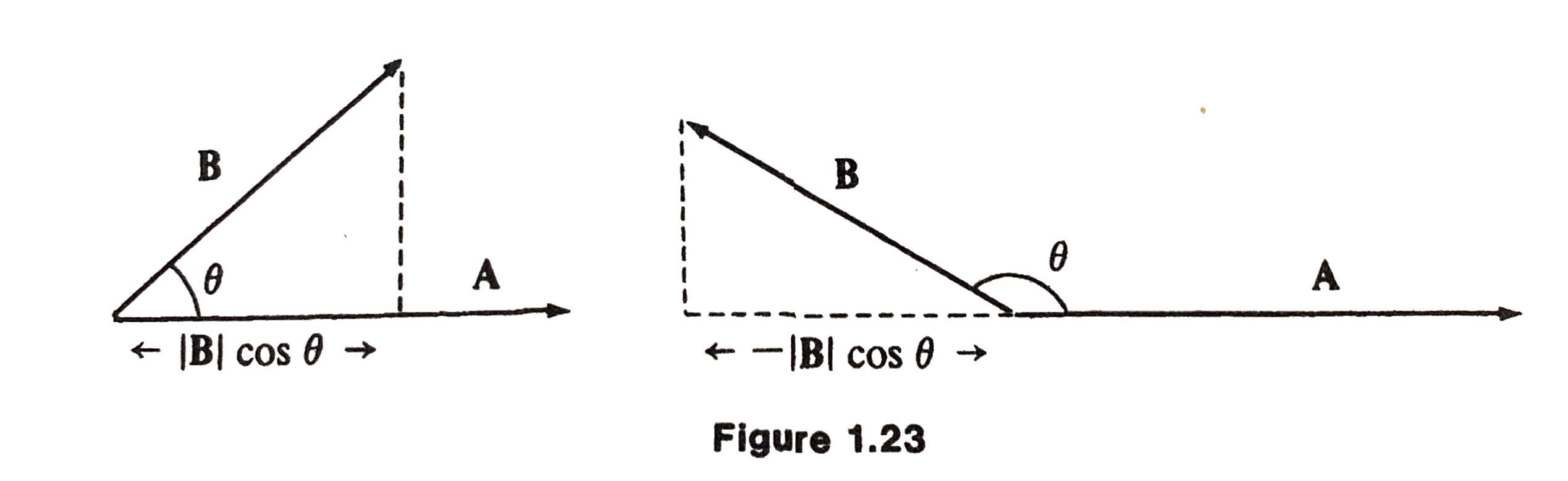 fig1-23.jpeg