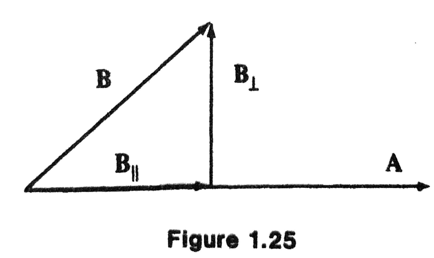 fig1-25.jpeg