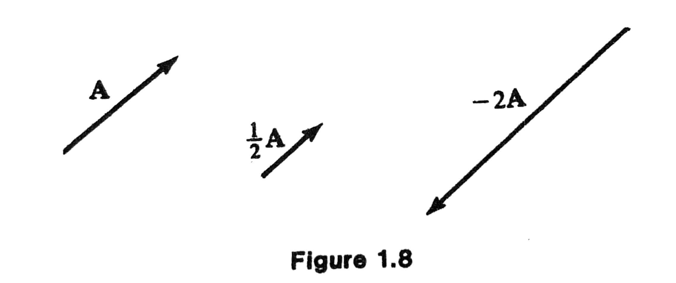 fig1-8.jpeg